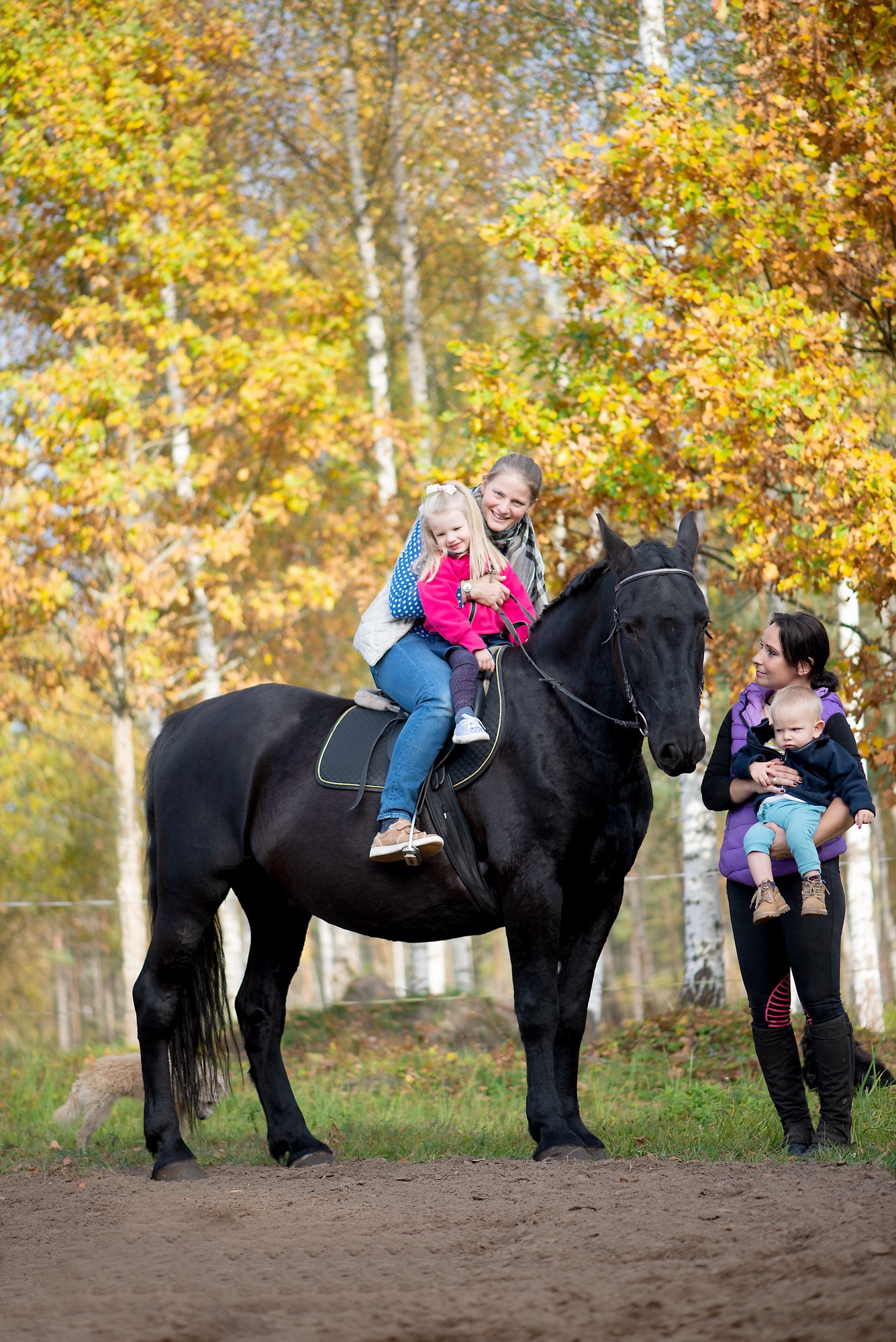 Cute toddler girl and mother having fun on a black horse ride enjoying family weekend on a beautiful